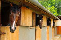 free Barmpton stable construction quotes